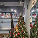 이엑스 복싱(EX BOXING) | [수서] 원투복싱핏 재연장 후기! (내돈내산)