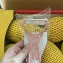 프리미엄 성주참외 꿀맛 후기