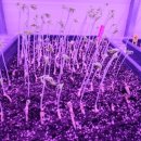 광만농장 이미지