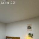 스테이 코코 이미지