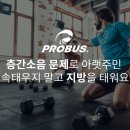 [프로부스]고무블럭/에버롤/코팅블럭/덤벨 국내최저가 팝니다!!!!! 이미지