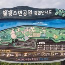 낙동생오리 이미지