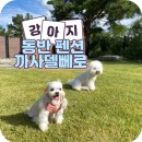 까사델뻬로 이미지