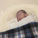 하도꿀잠 | 모로반사 심한 아기도 꿀잠자는 국민육아템 머미쿨쿨 사용 후기