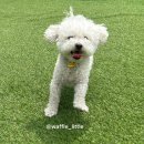 (주)헬로우케어 네이버블로그
