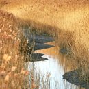 순천만 우리 이미지