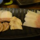 사이젠 티스토리