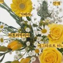 플로랄데이즈 이미지