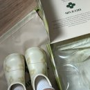 영대건기 | 여름2 주는 초록은 옳다
