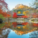 단풍스테이 이미지