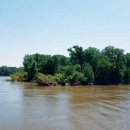 톰소여의 모험 이미지