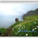 소천지 - 서귀포시 | 소천지