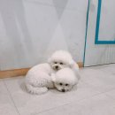 주견야독 이미지