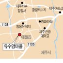 제주집2010