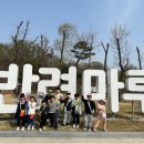 흥천초교 이미지