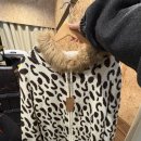 동홍 | [서귀포빈티지샵] 서귀포동홍 빈티지 방문 후기