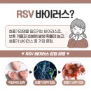 야탑로65번길 | 분당차병원 RSV 예방접종 후기 | RSV 유행 시기, 베이포투스 접종 비용