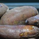 안면도농협 이미지