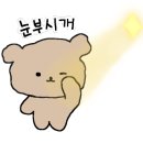 다니베이크샵 네이버블로그