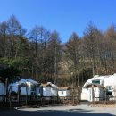 숲속의 이글루 이미지