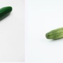 보성농장 이미지