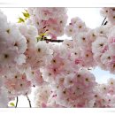 몽개몽개 이미지