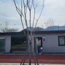 상신리 주차장 화장실 이미지