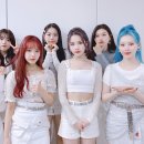 위키미키 카카오 검색결과