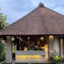 정원인터내셔날 | 🌿[발리/우붓] 우붓 감성 그 자체 숙소 후기｜JAPA Suites &amp; Villas