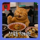 진보중화요리 | 웨이팅 감수하게 만든 인천 화교 중식당, 산곡동 덕화원 고추짬뽕,탕수육,간짜장 솔직 후기