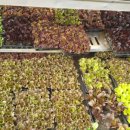 대명농자재 이미지