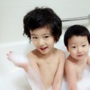 꽃드림플라워 이미지