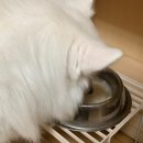 오포유베이크샵 이미지