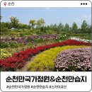 사천(순천) | 순천 여행 가볼만한곳 | 순천만 국가정원 스카이큐브타고 순천만습지까지 꿀팁후기