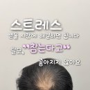 오하이스칼프