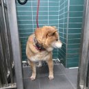 외솔길19번길 이미지