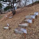 선바위 공인중개사사무소 이미지