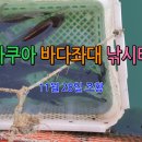 아쿠아좌대낚시터 이미지