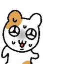 아 요즘 아이돌 노래 가사가 ㅋㅋㅋㅋㅋ 이미지