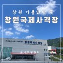 창원국제사격장 회의실 | 창원 실내데이트, 아이랑 가볼만한 곳 창원 국제사격장(권총사격 , 레이저사격 후기 )