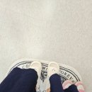 플룸네일 이미지