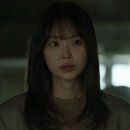 개이쁨 이미지