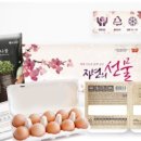 (주)농업회사법인 포프리