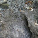 봉화산장 이미지