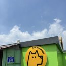 카페험프리즈 이미지