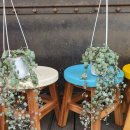 옐로우PC 이미지