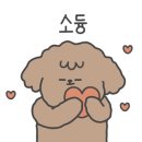 펫콤동물병원 이미지