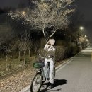 3월 일상 • 출근룩 모음 • 국가대표 친선경기 우루과이전 (1등석) • 맛집 투어_서대문, 연남동...
