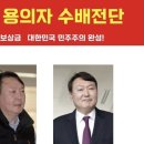 전단 이미지