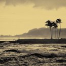 비치파크 이미지